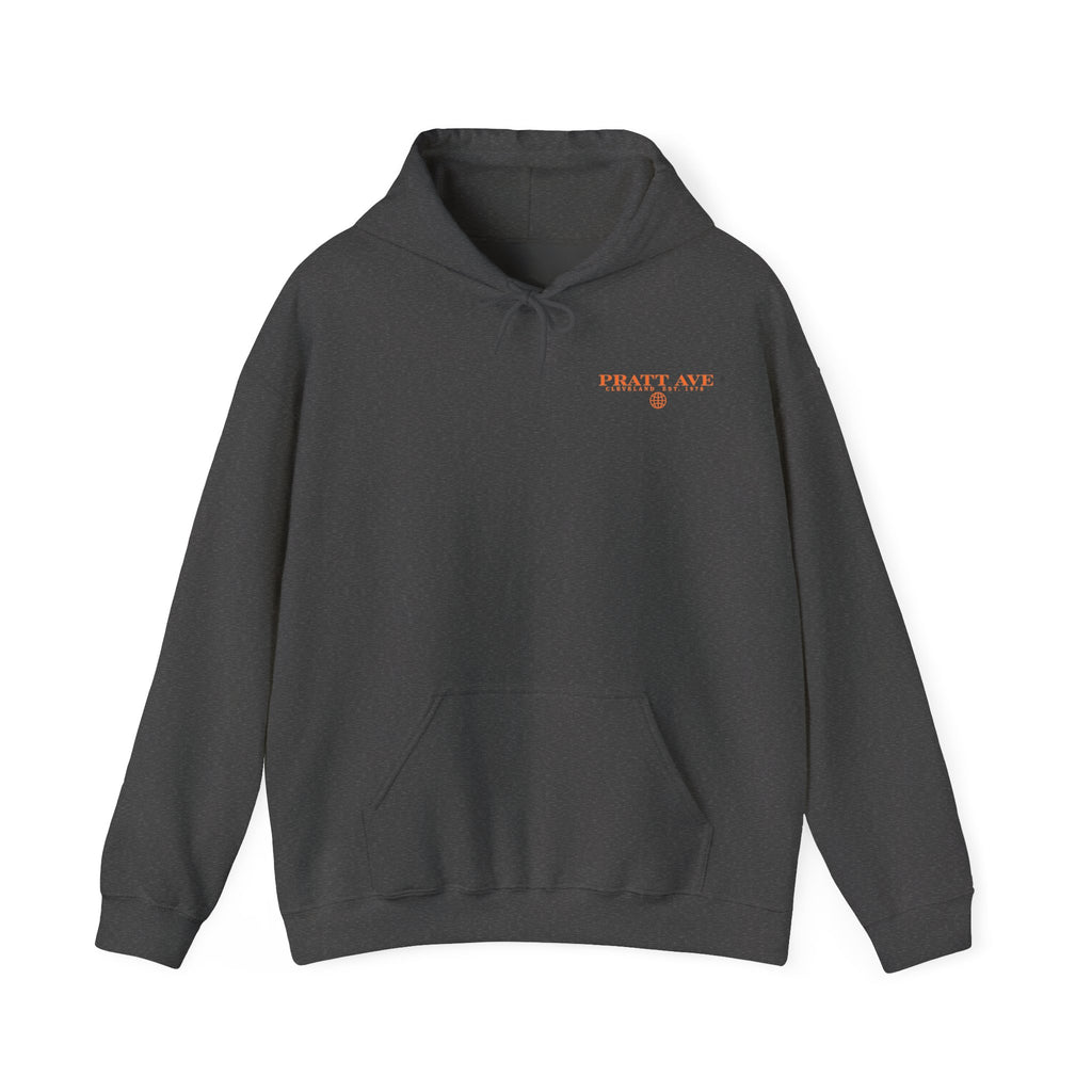 DTV — Divorced, Thriving & Vibing Hoodie
