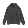 DTV — Divorced, Thriving & Vibing Hoodie