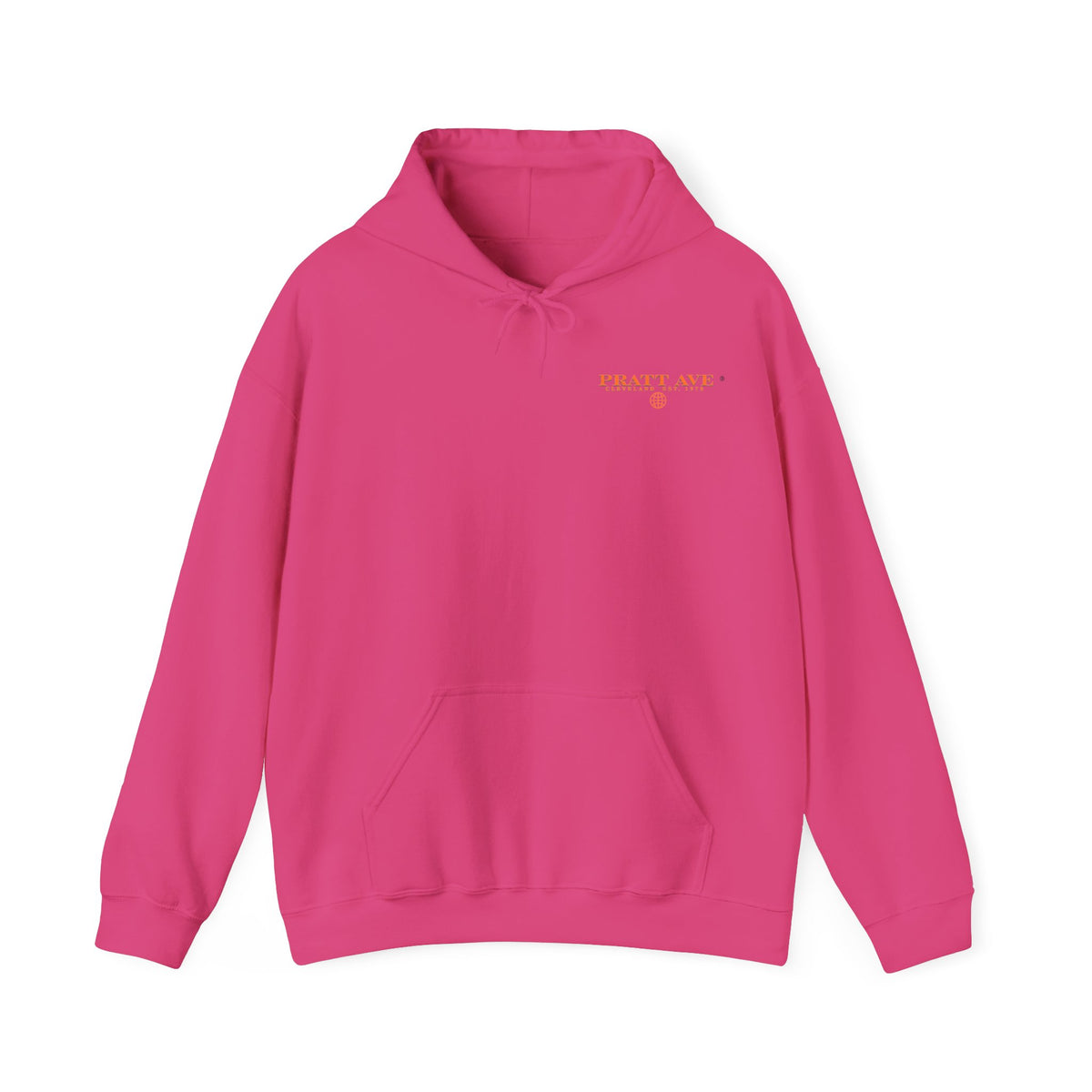 DTV — Divorced, Thriving & Vibing Hoodie