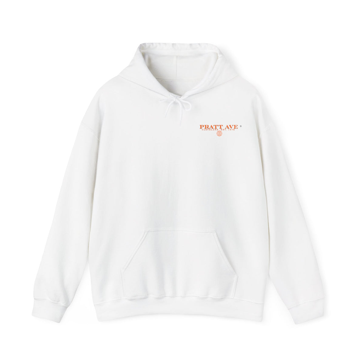 DTV — Divorced, Thriving & Vibing Hoodie