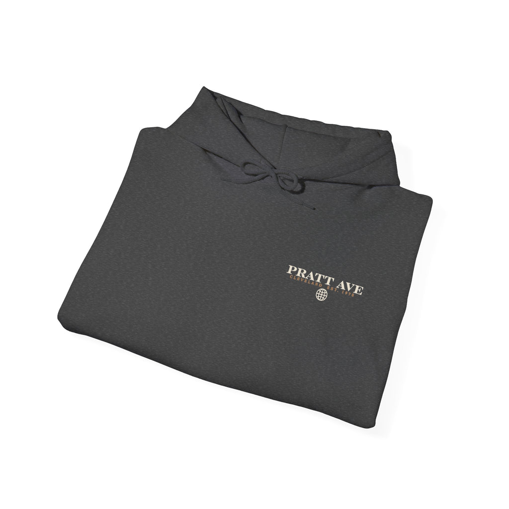 No Longer Available in This Country Hoodie