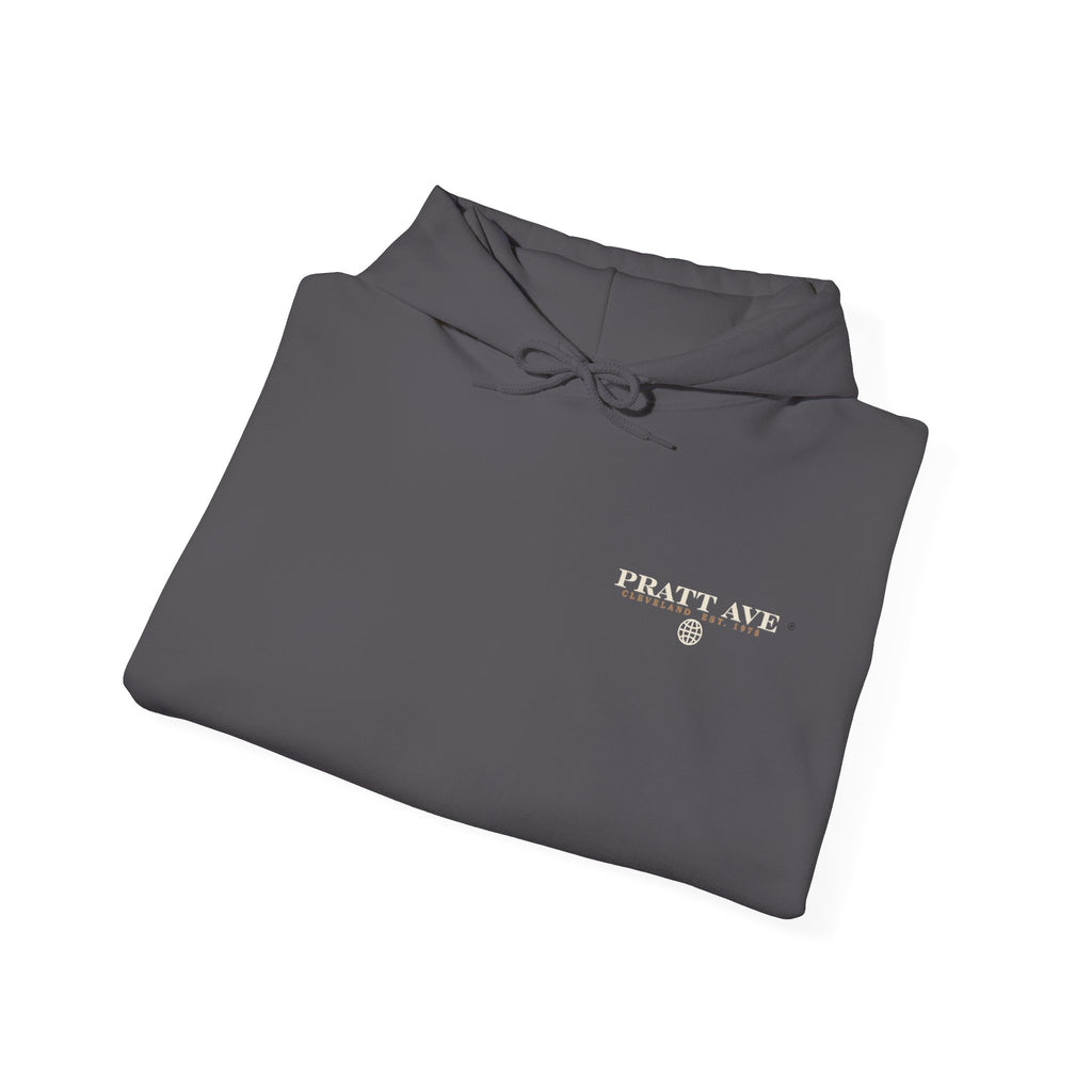 No Longer Available in This Country Hoodie