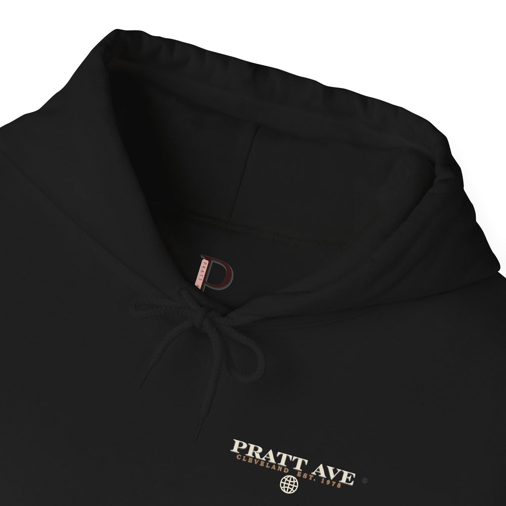 No Longer Available in This Country Hoodie